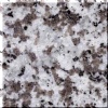 G439 Granite