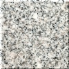 G603 Granite