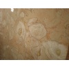 Butterfly Beige Marble