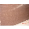 Purple Wood Vein