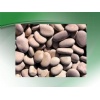 decorative pebble stone