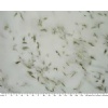 Pista White (Ambaji Panther )