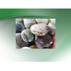 decorative pebbles