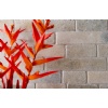 Grey Limestone Tiles - Transylvania (Karina) Mix