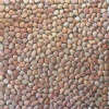 Pink Pebble Stone