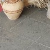 Grey limestone - Transylvania (Karina) Honed