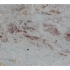 Millenium Cream Granite