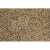 Desert Brown India