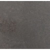 Zhangpu Black