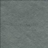 Himachal Green Quartzite