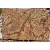 Rain Forest Brown