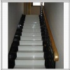 Marble steps