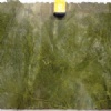 Marina green 2cm