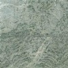 Sapoti Green