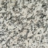 Tiger Skin White