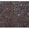 Imperial brown granite tiles