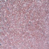 Jieyang red granite tiles
