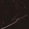 Black Marquina marble tile