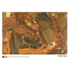 Jamaica Jasper Semi Precious Stone