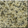 Chryanthemum Yellow Granite