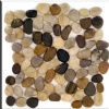Polished Natural Mix Pebble Tile
