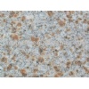 Granite Floor G350-6 Tile and Slab