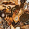 Brown Agate (Backlit view) Semiprecious