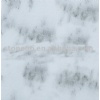 Beautiful White Marble