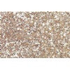 Red Granite Stone Slab