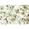 Giallo Cecilia Granite