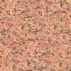 Salisbury Pink