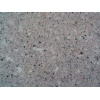G606 granite tile