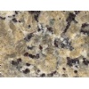Butterfly Beige