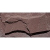 silver brown slate mushroom