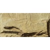 Yellow mud quartzite mushroom stone