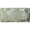 Light green slate mushroom