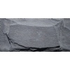 Black slate mushroom
