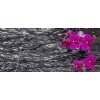 Lappia Silver