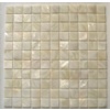 shell mosaic