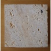 Coralina Gold Natural Coral Stone GCS22