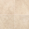 Sea Shell Limestone