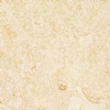 Galala Marble