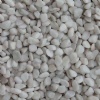 Tumble pebble