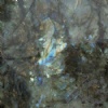 Lemurian 3cm Slabs - Labradorite