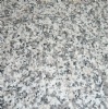 Granite G623-ROSA BETA