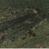 Wild West Green Granite
