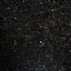 Volga Blue Extra Dark