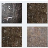 Fossil Brown Marble