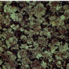 Baltic green granite