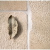 Golden Beach limestone